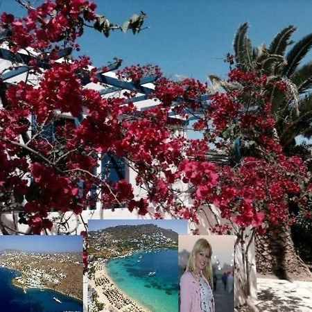Magical Ornos! Beach House!Beach 1' Walk-Mykonos Town 2Km エクステリア 写真