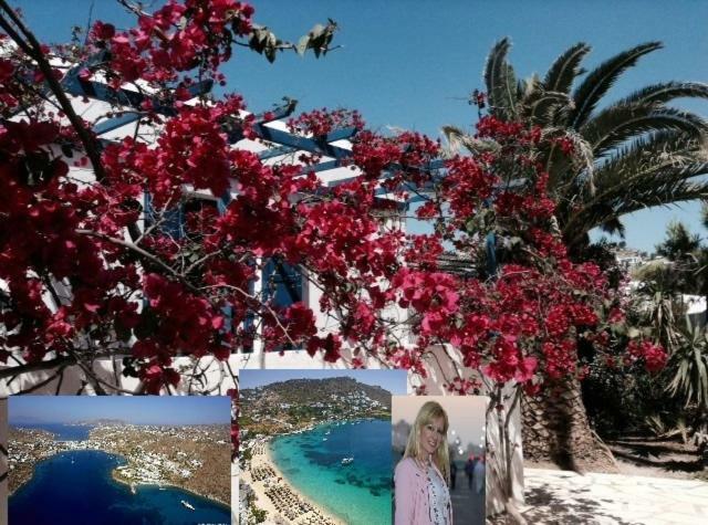 Magical Ornos! Beach House!Beach 1' Walk-Mykonos Town 2Km エクステリア 写真